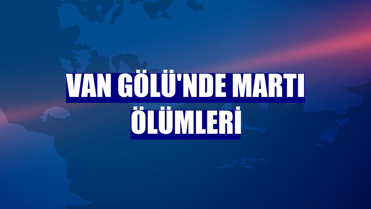 Van Gölü'nde martı ölümleri