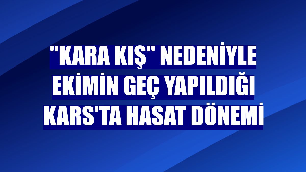 "Kara kış" nedeniyle ekimin geç yapıldığı Kars'ta hasat dönemi