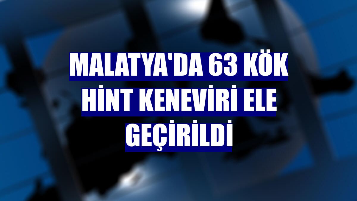 Malatya'da 63 kök Hint keneviri ele geçirildi