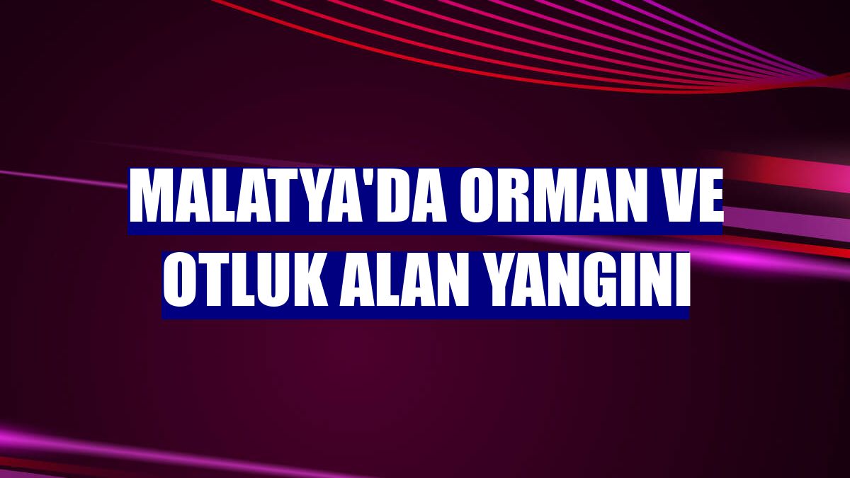 Malatya'da orman ve otluk alan yangını