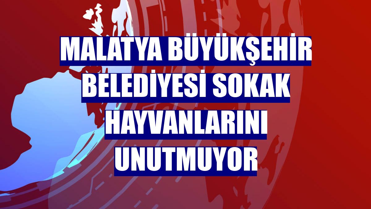 Malatya Büyükşehir Belediyesi sokak hayvanlarını unutmuyor