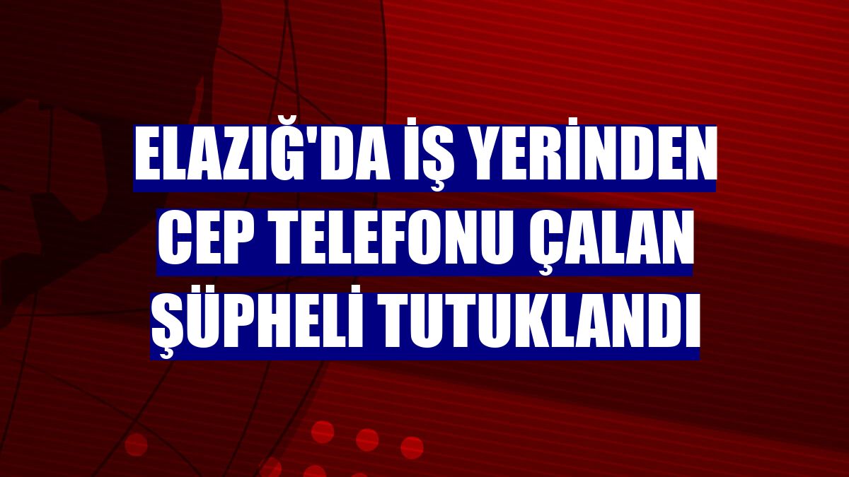 Elazığ'da iş yerinden cep telefonu çalan şüpheli tutuklandı