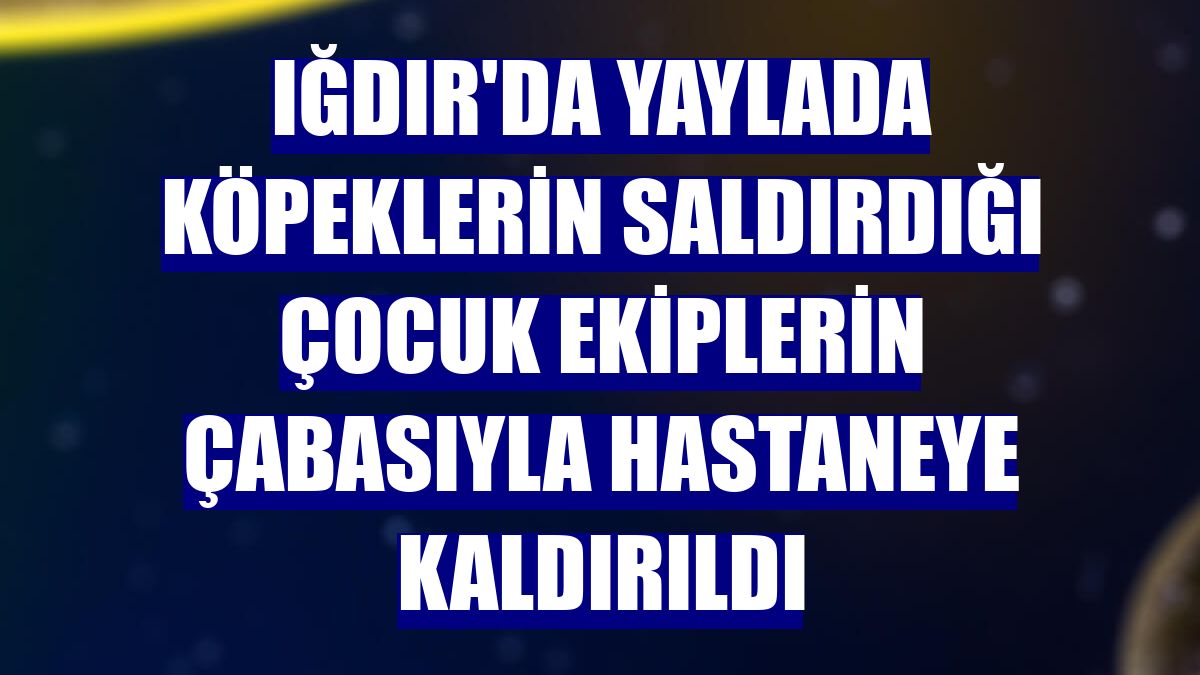 Iğdır'da yaylada köpeklerin saldırdığı çocuk ekiplerin çabasıyla hastaneye kaldırıldı