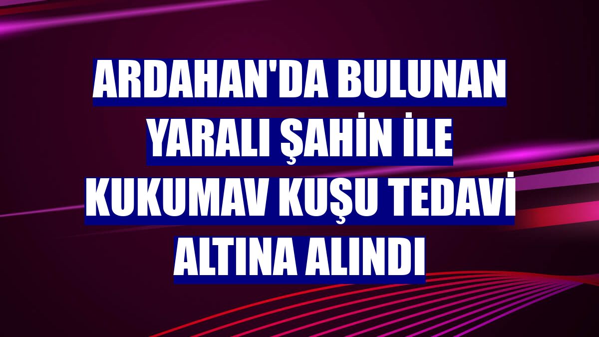 Ardahan'da bulunan yaralı şahin ile kukumav kuşu tedavi altına alındı