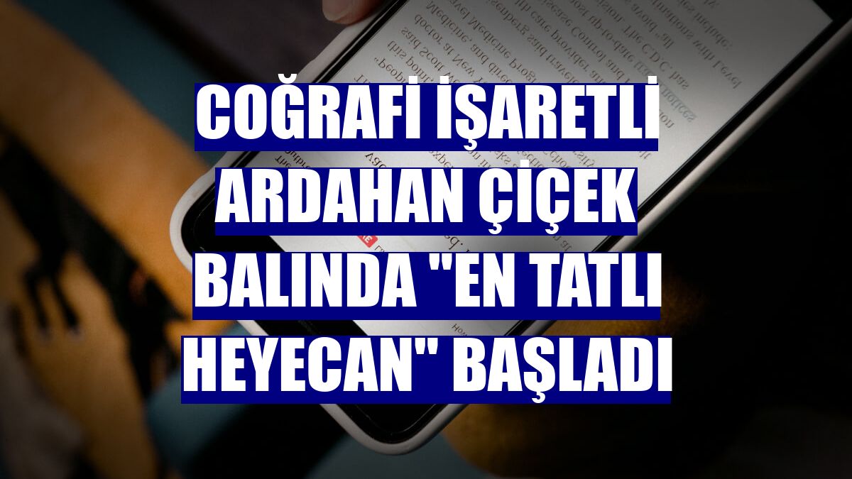 Coğrafi işaretli Ardahan çiçek balında "en tatlı heyecan" başladı
