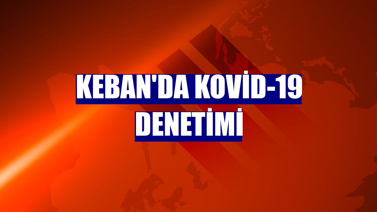 Keban'da Kovid-19 denetimi
