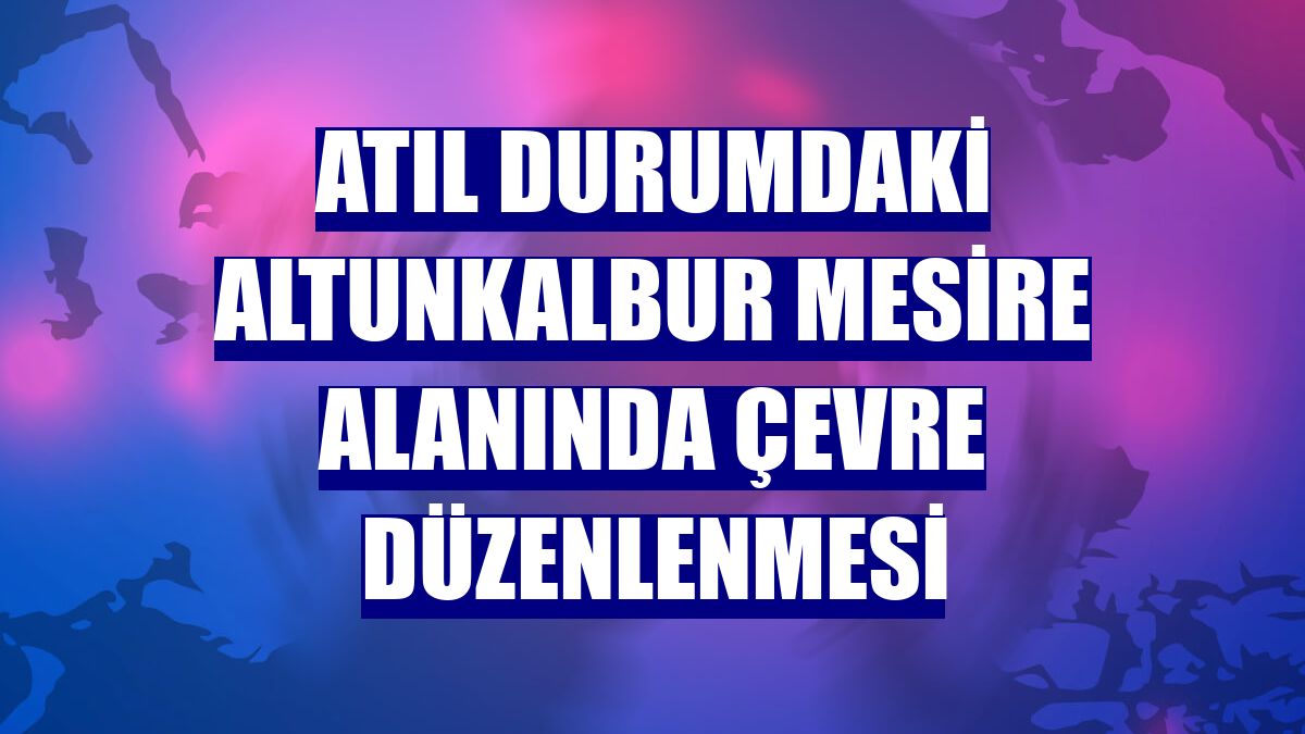 Atıl durumdaki Altunkalbur mesire alanında çevre düzenlenmesi