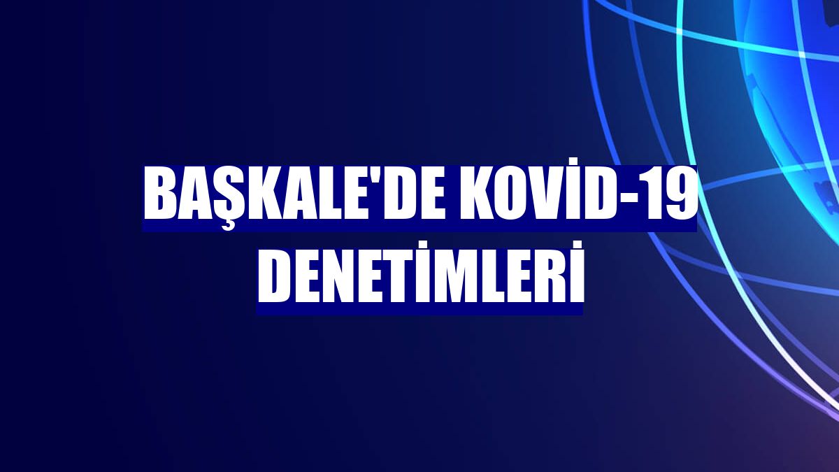 Başkale'de Kovid-19 denetimleri