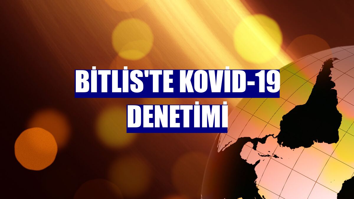 Bitlis'te Kovid-19 denetimi