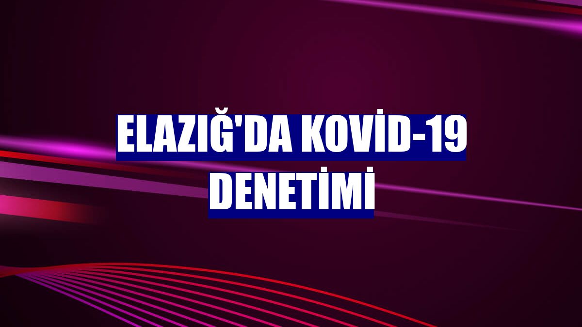 Elazığ'da Kovid-19 denetimi
