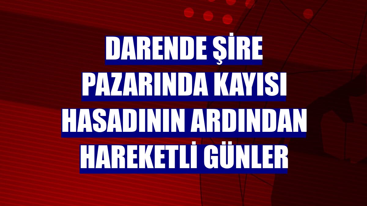 Darende şire pazarında kayısı hasadının ardından hareketli günler