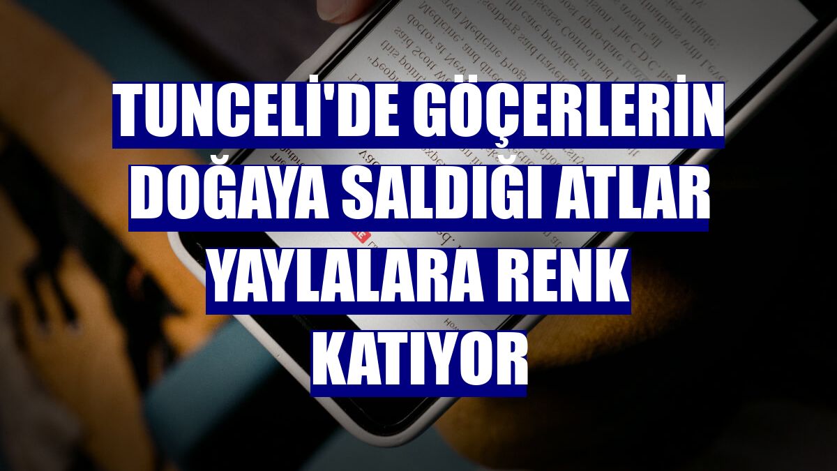 Tunceli'de göçerlerin doğaya saldığı atlar yaylalara renk katıyor