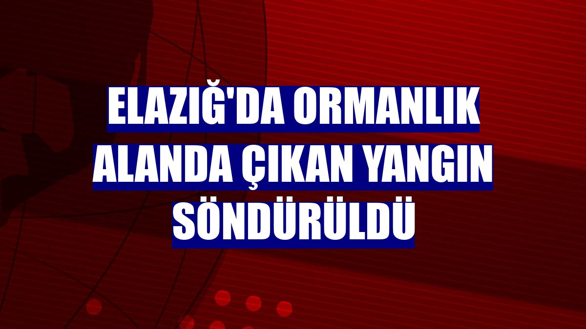 Elazığ'da ormanlık alanda çıkan yangın söndürüldü