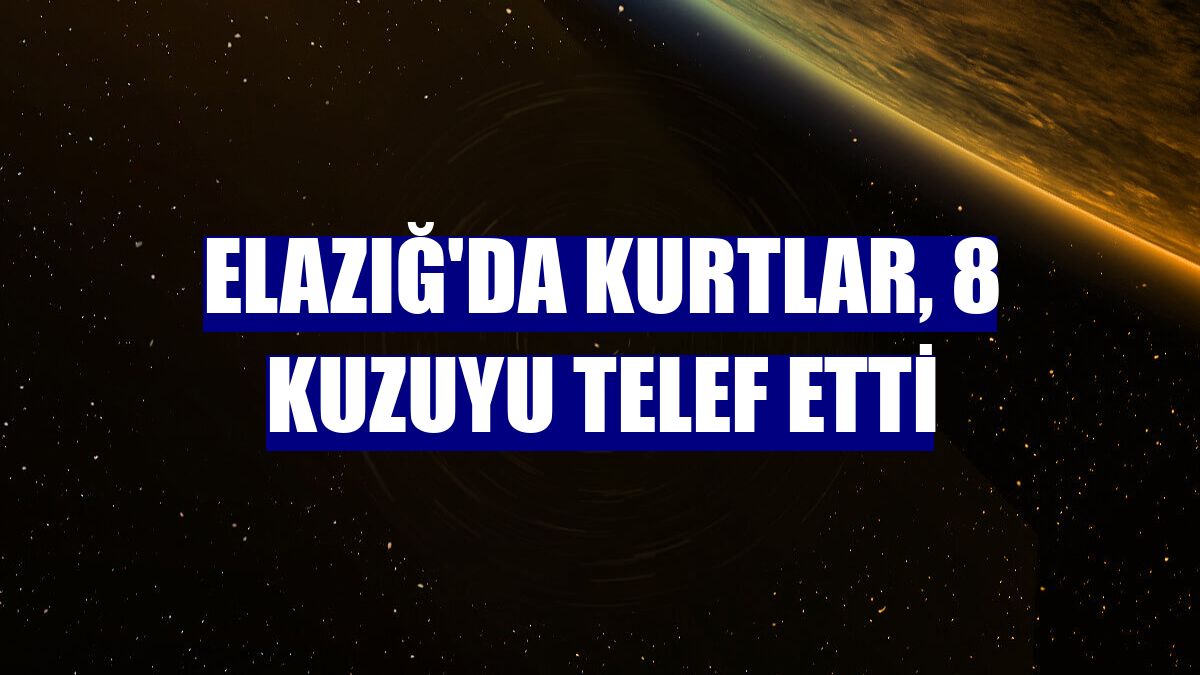 Elazığ'da kurtlar, 8 kuzuyu telef etti