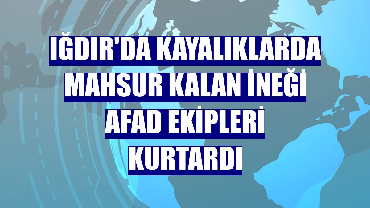 Iğdır'da kayalıklarda mahsur kalan ineği AFAD ekipleri kurtardı