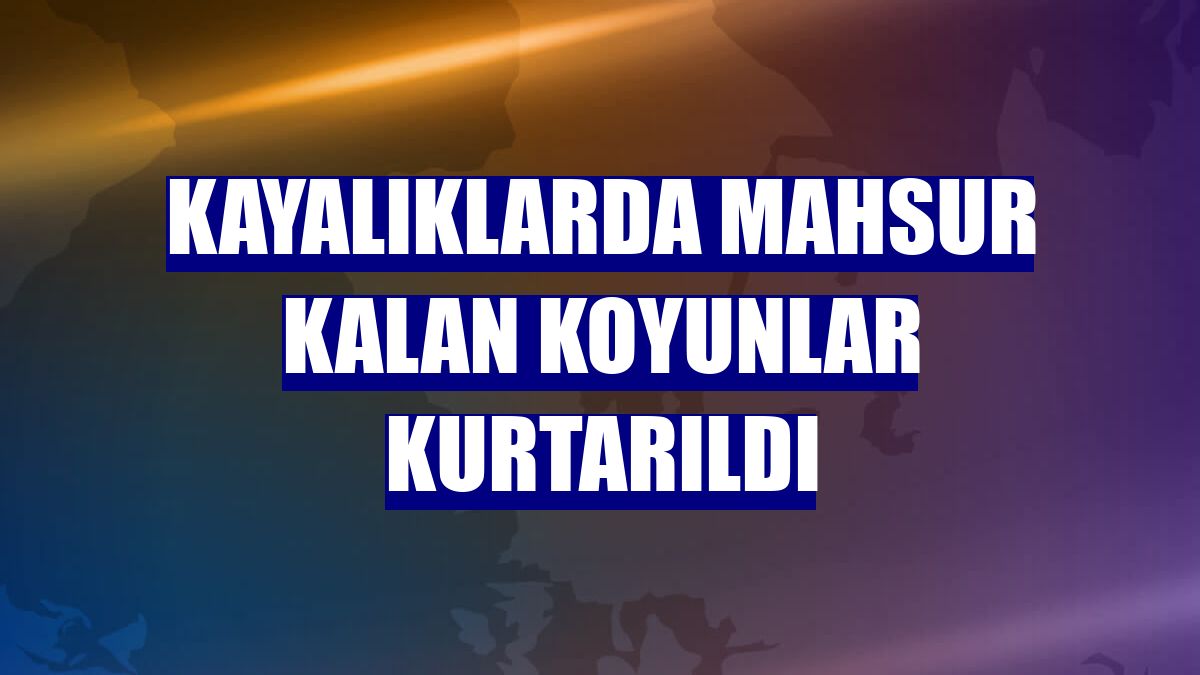 Kayalıklarda mahsur kalan koyunlar kurtarıldı