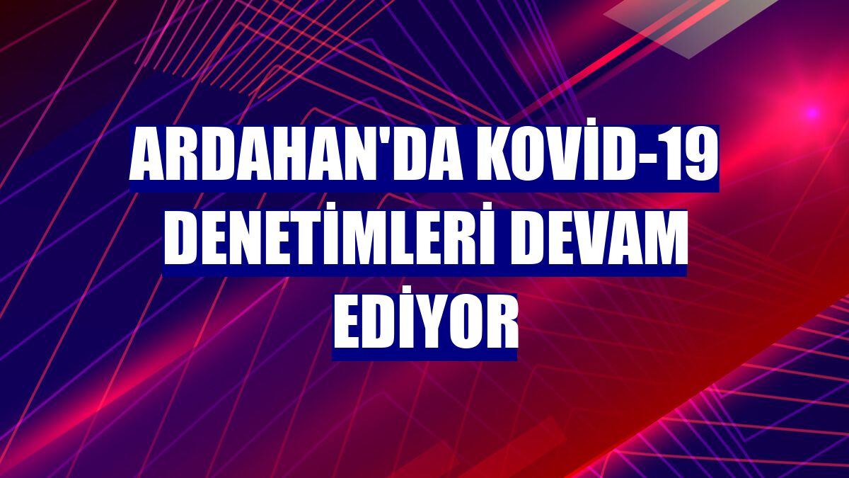 Ardahan'da Kovid-19 denetimleri devam ediyor