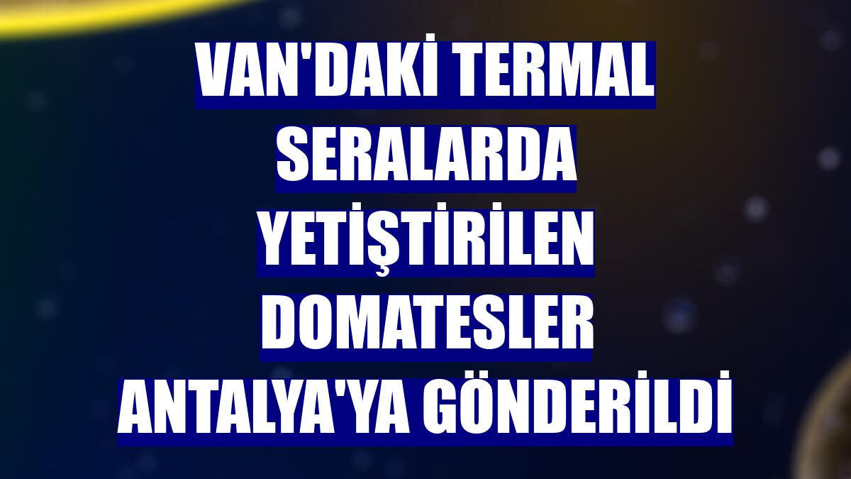 Van'daki termal seralarda yetiştirilen domatesler Antalya'ya gönderildi