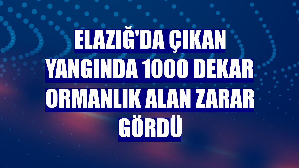 Elazığ'da çıkan yangında 1000 dekar ormanlık alan zarar gördü