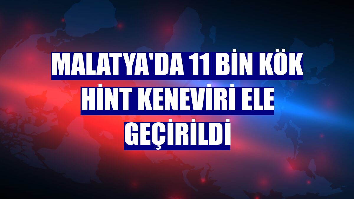 Malatya'da 11 bin kök Hint keneviri ele geçirildi