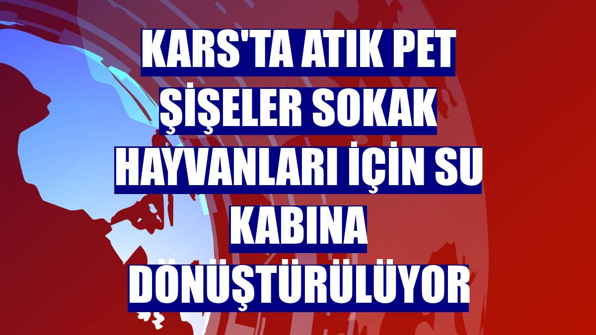 Kars'ta atık pet şişeler sokak hayvanları için su kabına dönüştürülüyor