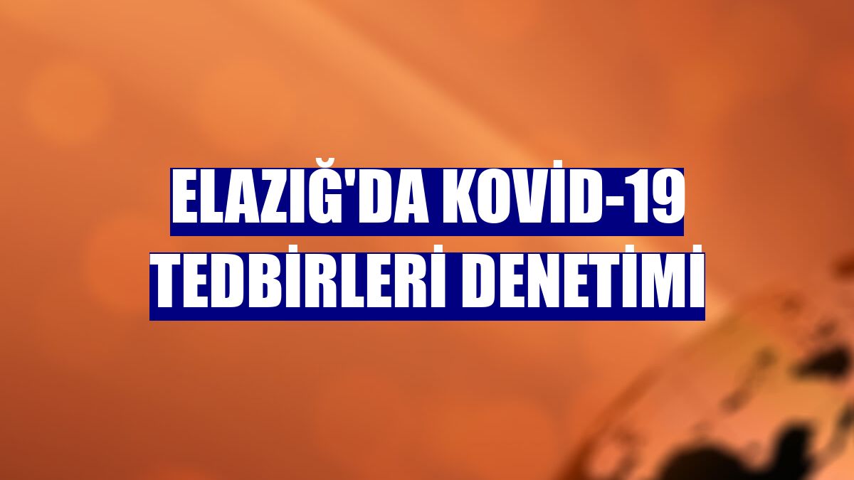 Elazığ'da Kovid-19 tedbirleri denetimi