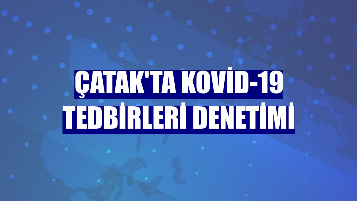 Çatak'ta Kovid-19 tedbirleri denetimi