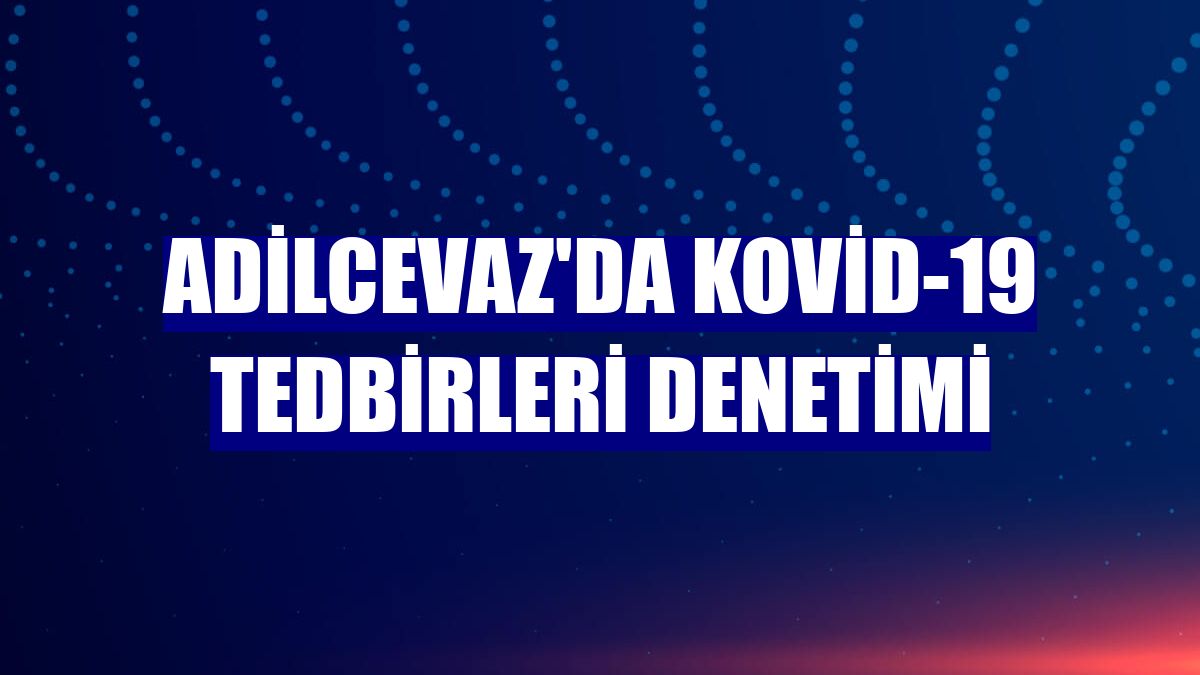 Adilcevaz'da Kovid-19 tedbirleri denetimi