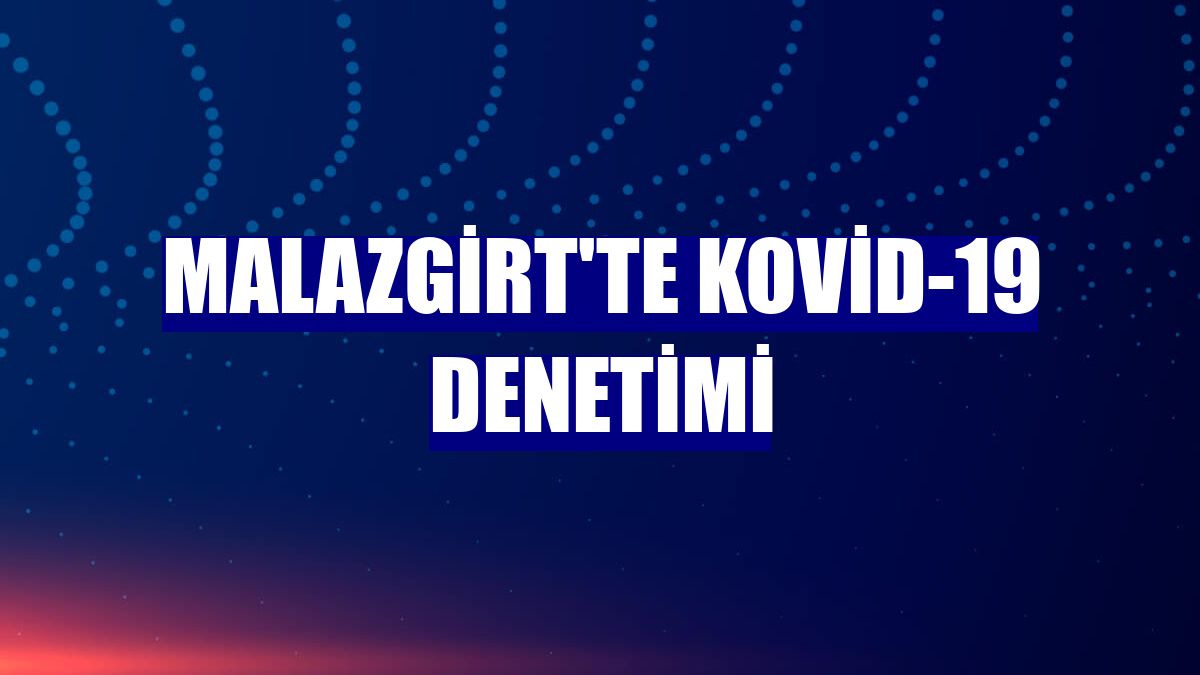 Malazgirt'te Kovid-19 denetimi