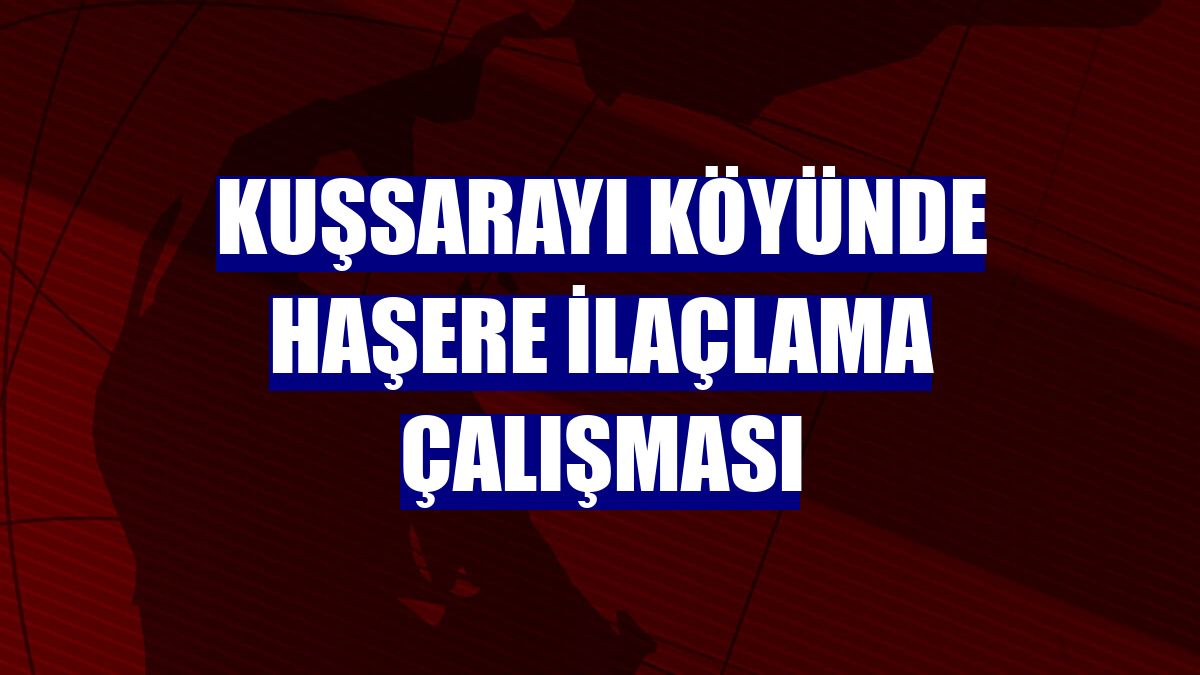 Kuşsarayı köyünde haşere ilaçlama çalışması