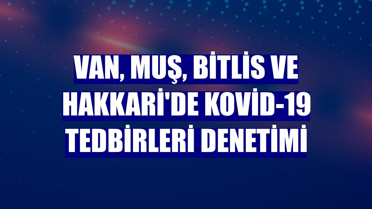 Van, Muş, Bitlis ve Hakkari'de Kovid-19 tedbirleri denetimi