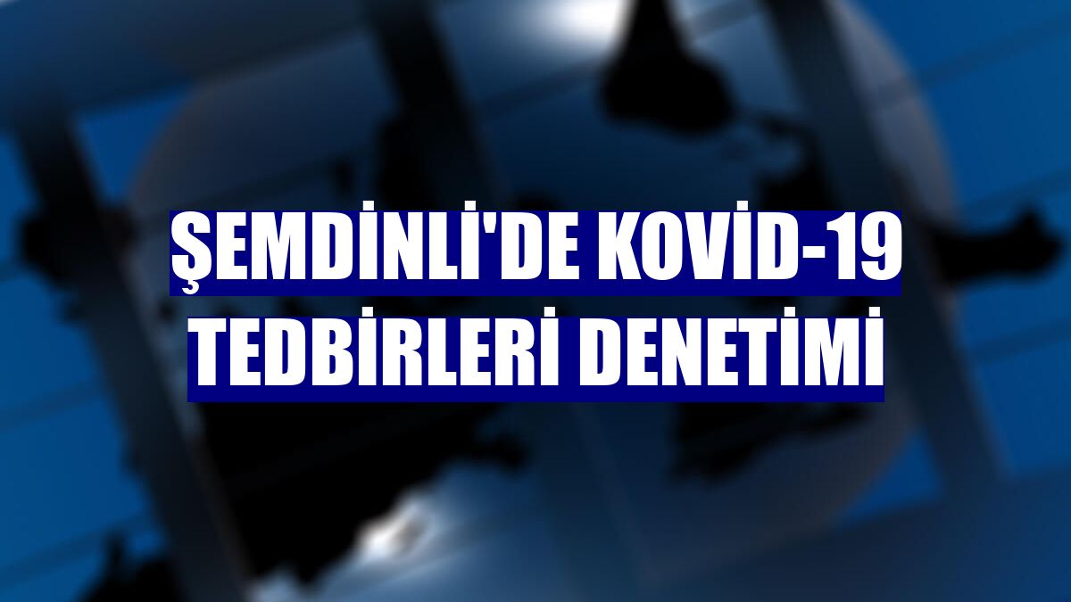 Şemdinli'de Kovid-19 tedbirleri denetimi