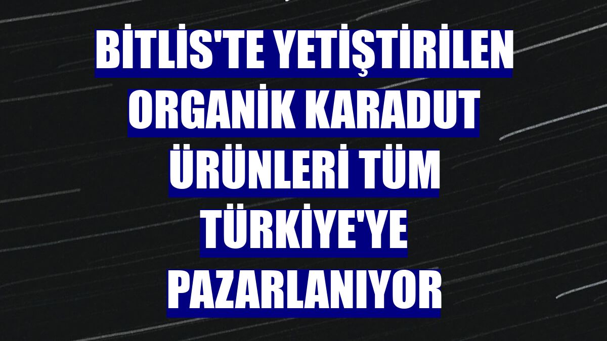 Bitlis'te yetiştirilen organik karadut ürünleri tüm Türkiye'ye pazarlanıyor