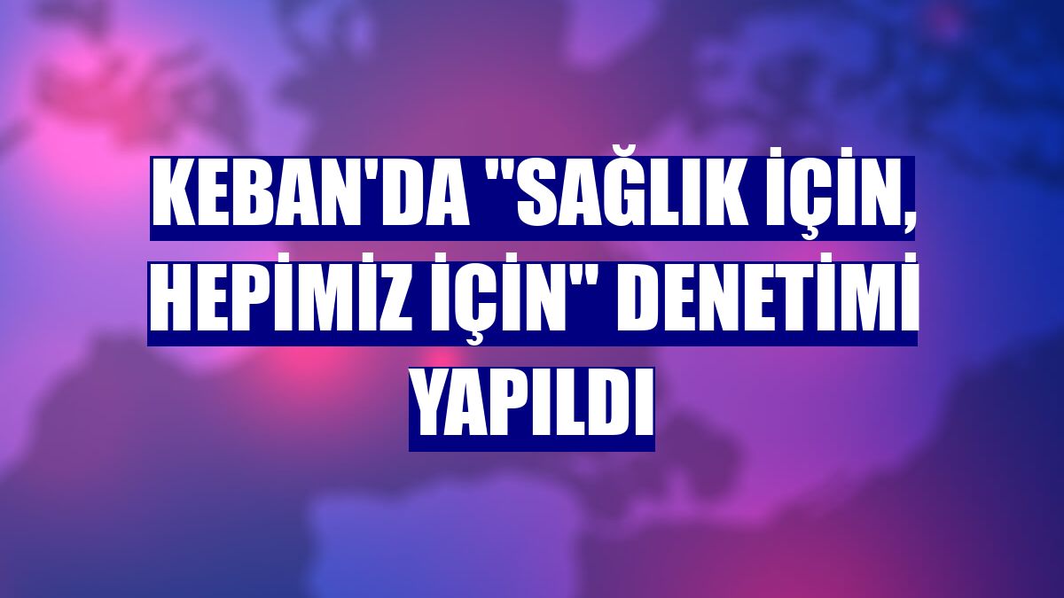Keban'da "sağlık için, hepimiz için" denetimi yapıldı