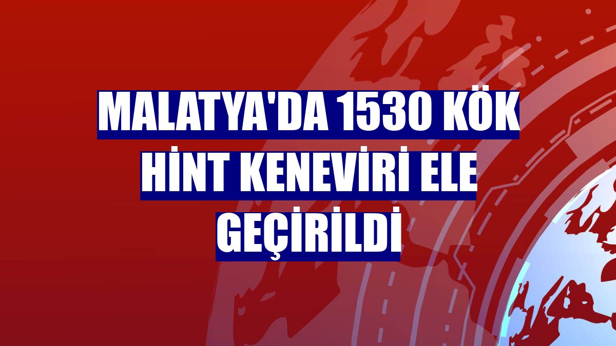 Malatya'da 1530 kök Hint keneviri ele geçirildi