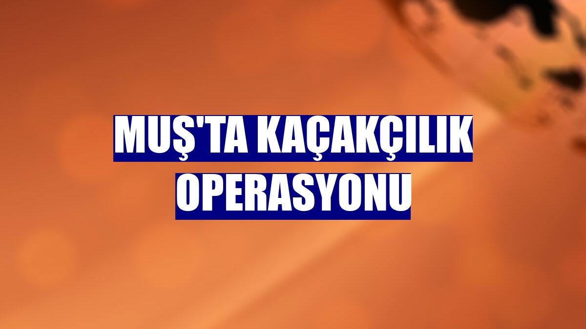 Muş'ta kaçakçılık operasyonu