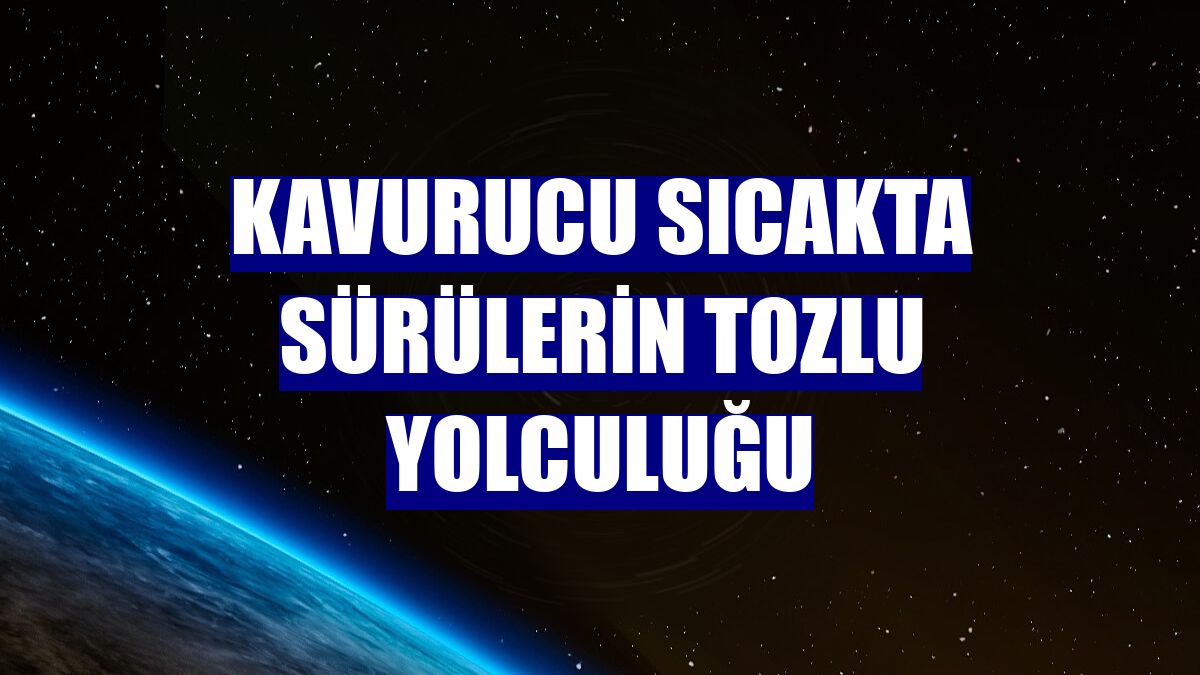 Kavurucu sıcakta sürülerin tozlu yolculuğu