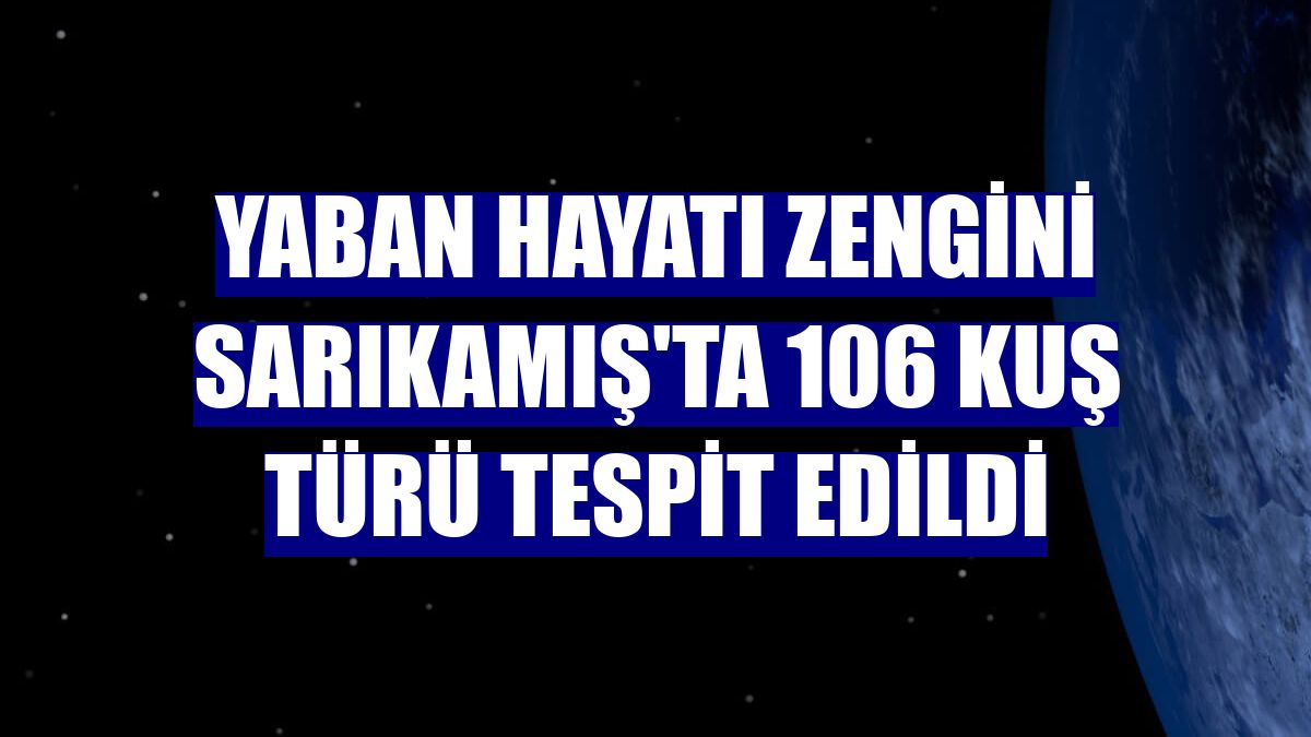 Yaban hayatı zengini Sarıkamış'ta 106 kuş türü tespit edildi
