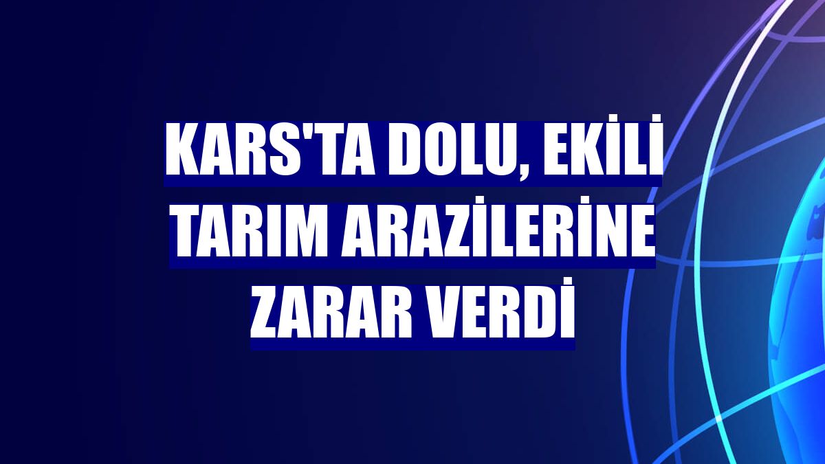 Kars'ta dolu, ekili tarım arazilerine zarar verdi