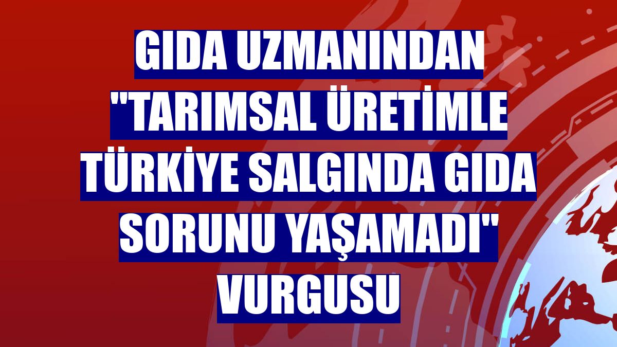 Gıda uzmanından "tarımsal üretimle Türkiye salgında gıda sorunu yaşamadı" vurgusu