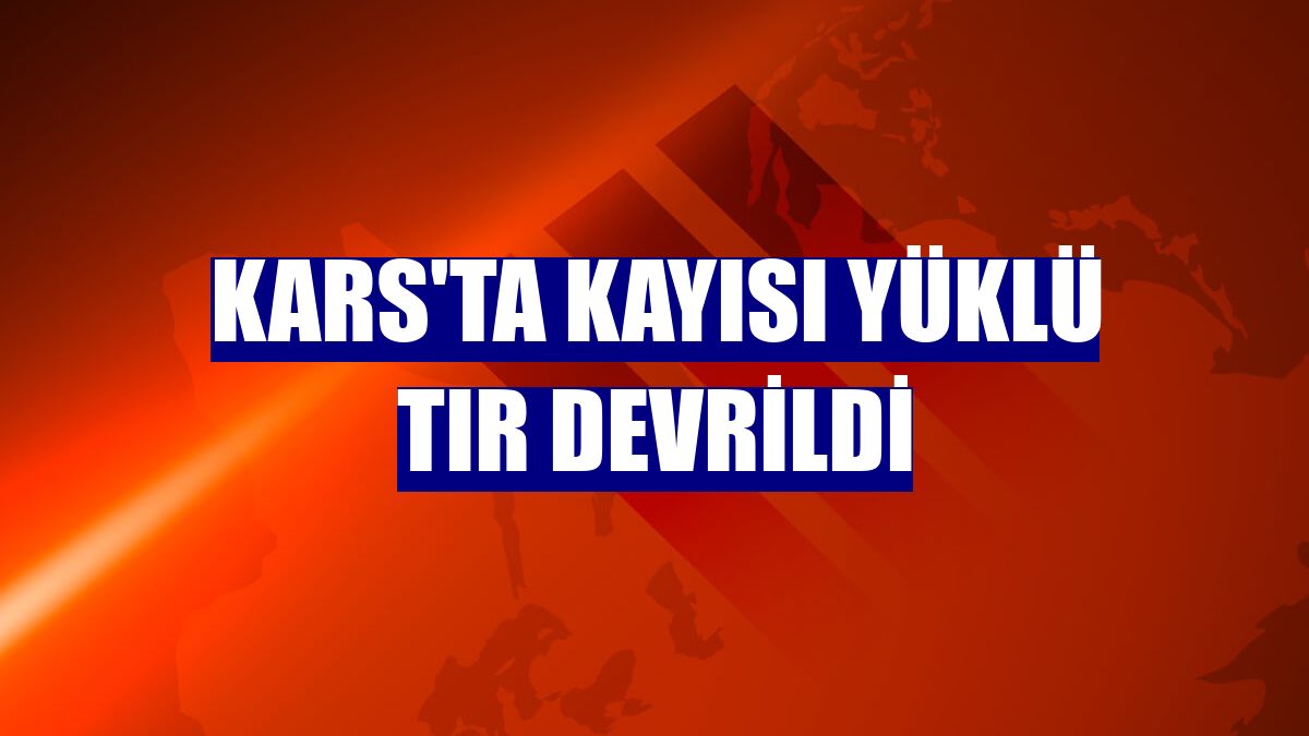 Kars'ta kayısı yüklü tır devrildi