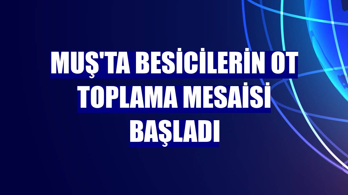 Muş'ta besicilerin ot toplama mesaisi başladı