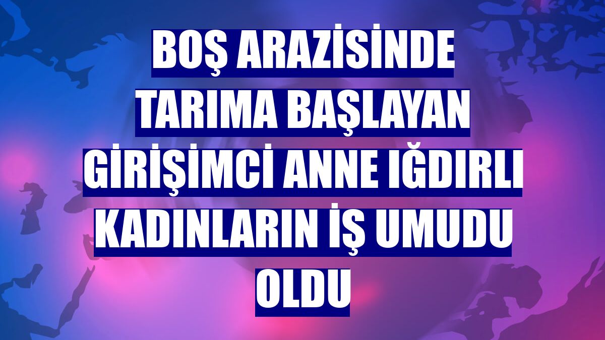 Boş arazisinde tarıma başlayan girişimci anne Iğdırlı kadınların iş umudu oldu