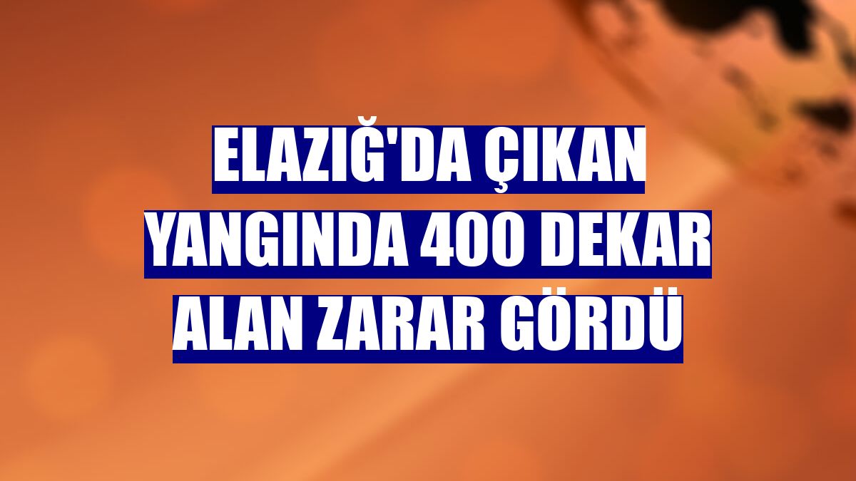 Elazığ'da çıkan yangında 400 dekar alan zarar gördü