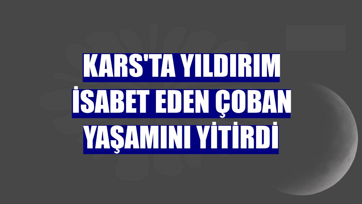 Kars'ta yıldırım isabet eden çoban yaşamını yitirdi