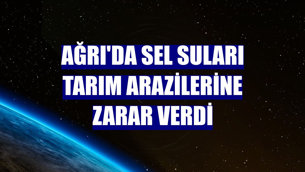 Ağrı'da sel suları tarım arazilerine zarar verdi