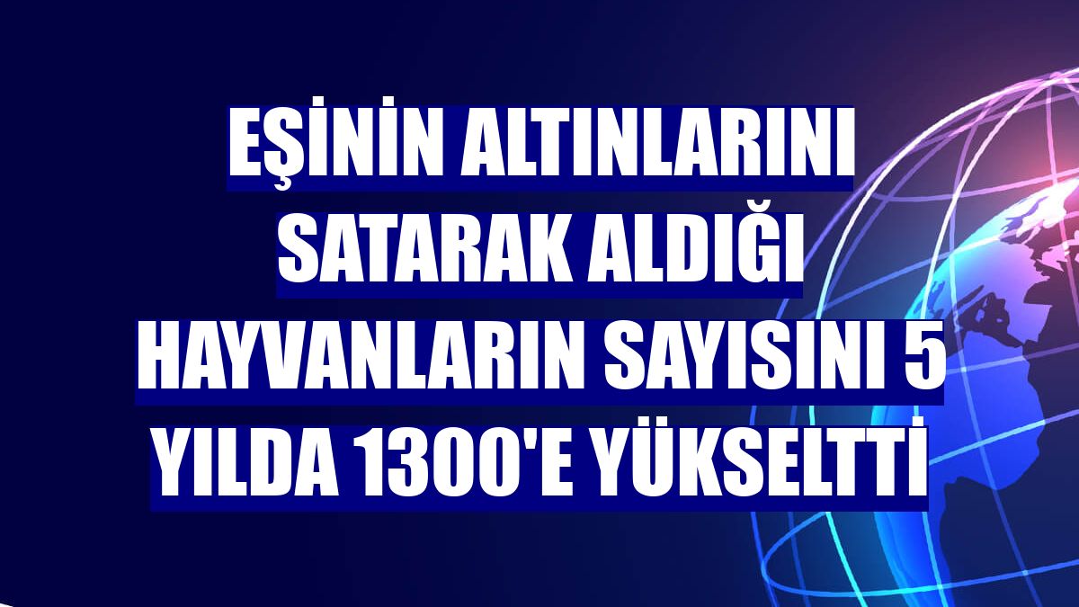 Eşinin altınlarını satarak aldığı hayvanların sayısını 5 yılda 1300'e yükseltti