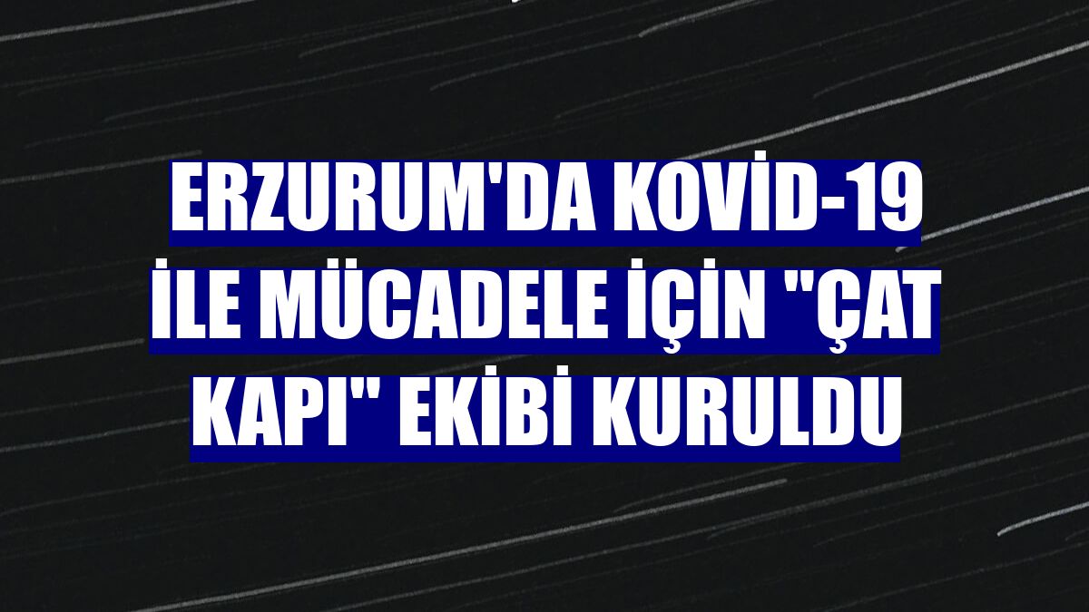 Erzurum'da Kovid-19 ile mücadele için "çat kapı" ekibi kuruldu