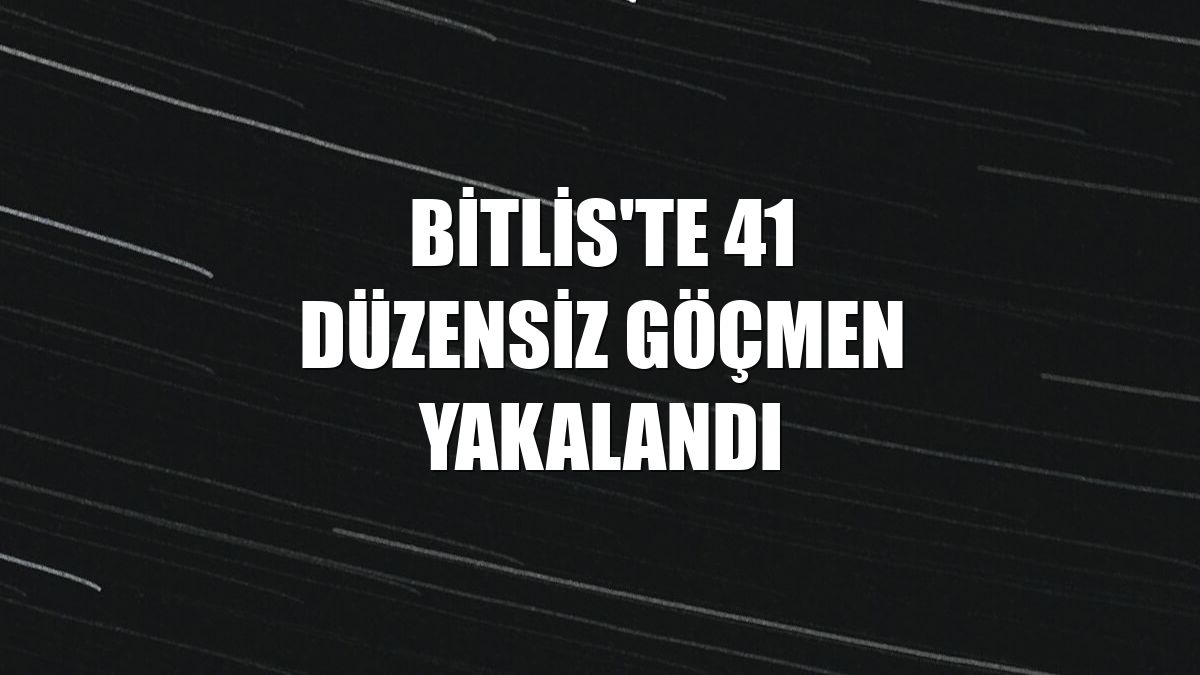 Bitlis'te 41 düzensiz göçmen yakalandı