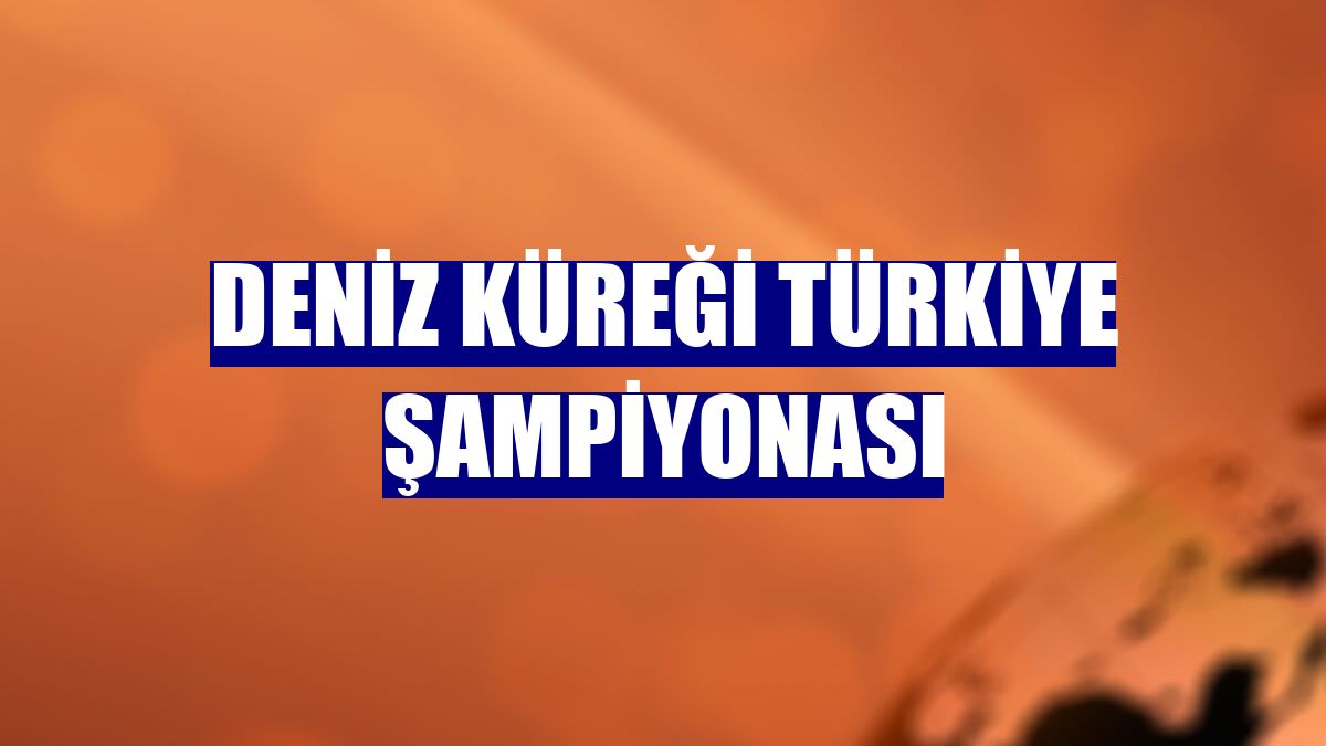 Deniz Küreği Türkiye Şampiyonası